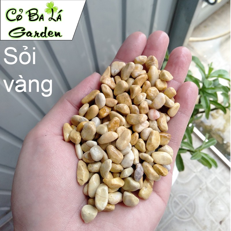 Sỏi Suối 500gr trang trí chậu cây,lót bể cá,phụ kiện trang trí