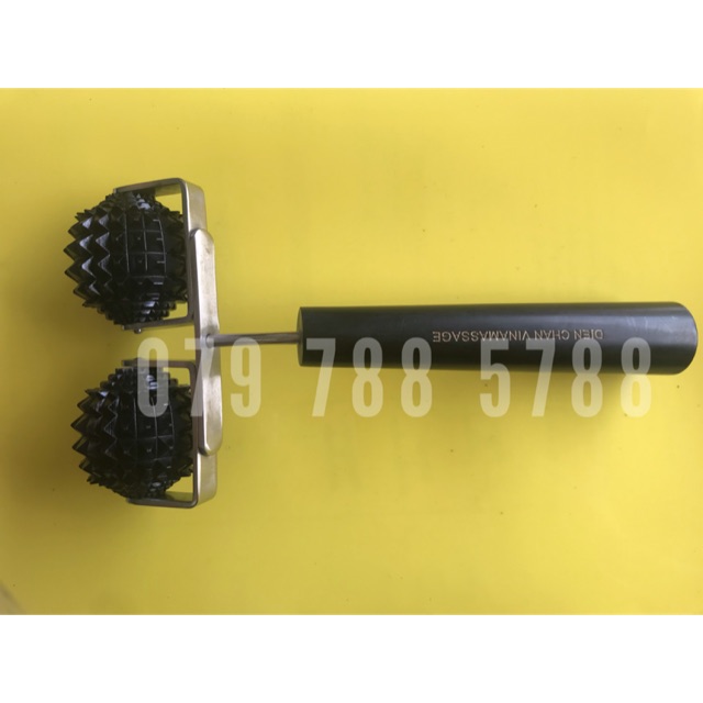 Cây lăn cầu gai đôi lớn diện chẩn