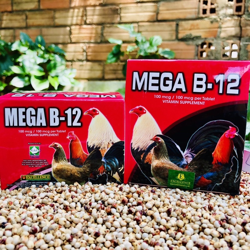 MEGA B12 thuốc nuôi cho gà đá, Thuốc tăng thể lực cho gà 1 hộp 10 vỉ 100 viên