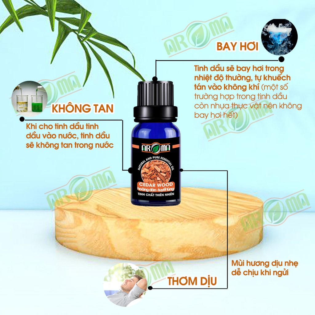 Tinh dầu Tuyết Tùng (Hoàng Đàn) AROMA | Cedar wood Essential Oil, tinh dầu thơm phòng, thư giãn