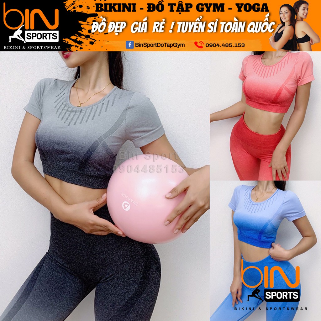 Đồ tập gym nữ, set bộ dệt kim ombre áo crop kèm mút quần dài cao cấp Bin Sports BD049