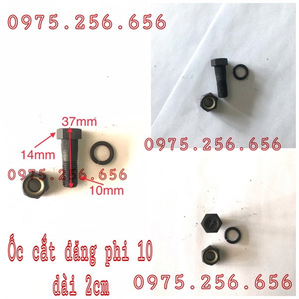 Ốc Cắt Đăng Phi 10 dài 2cm