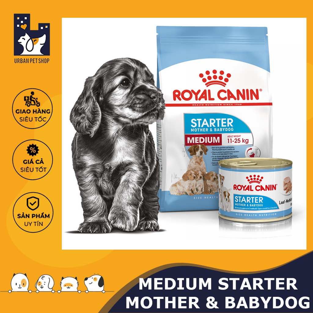 ROYAL CANIN - MEDIUM STARTER MOTHER &amp; BABYDOG [ CHÍNH HÃNG ] - THỨC ĂN CHO CHÓ TỪ 11-25kg
