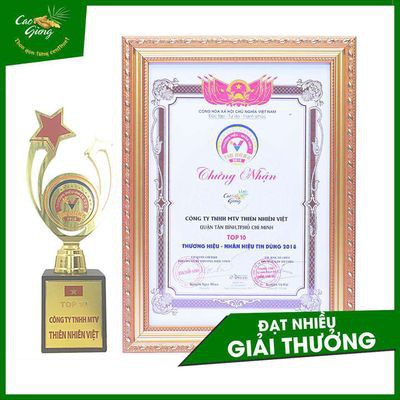 (Shopee trợ giá) Cao Gừng Tan Mỡ Bụng Chính hãng Thiên Nhiên Việt 200g | BigBuy360 - bigbuy360.vn