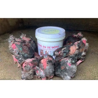 Máng ăn tự động cho Gà,Chim,Ngan,Vịt, hiệu quả nhất.