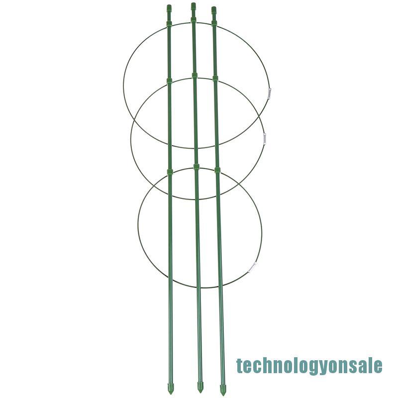Khung Hỗ Trợ Trồng Cây Leo Dài 60cm