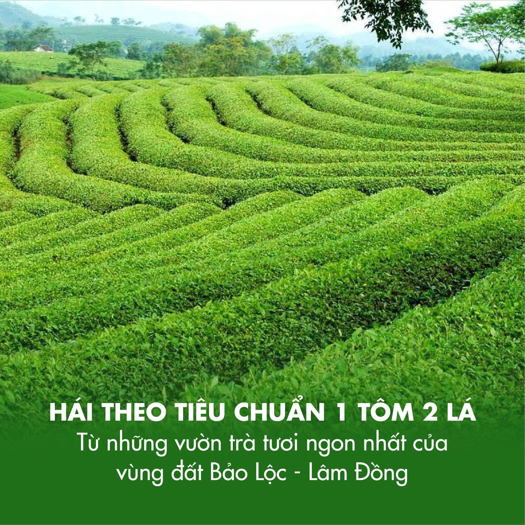 Trà Đen B251 Dotea - 100g Vị Ngọt Trái Chín Hương Thơm Tự Nhiên