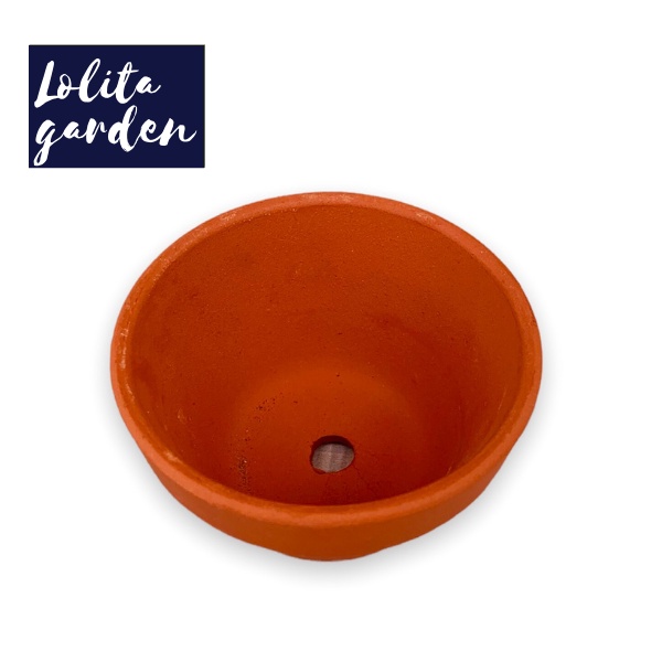 CHẬU ĐẤT NUNG LÙN NÂU ĐƯỜNG KÍNH 8CM SIÊU XINH SIÊU KHỎE LỖI 1 ĐỔI 1