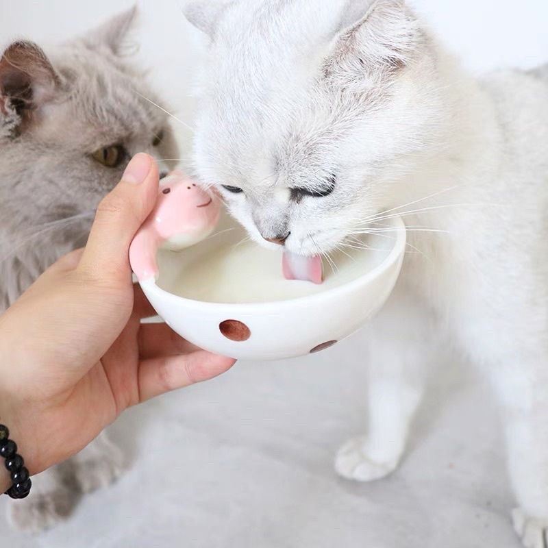 Sữa chua cho chó mèo MONBAB tốt cho tiêu hoá