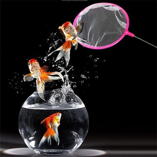 Vợt Lưới Vớt Cá Loại Nhỏ