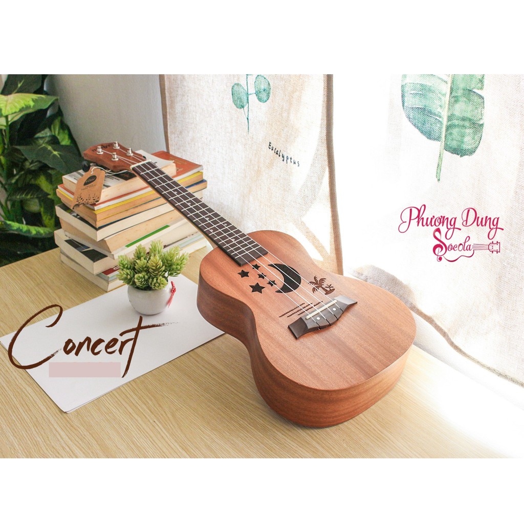 Đàn Ukulele Gỗ chính hãng Music size Concert - Trăng Sao