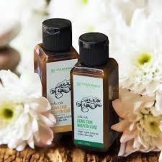 Combo Dầu gội + Dầu xả thảo dược Gừng mini