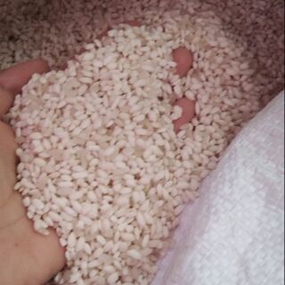 1kg gạo nếp cái bắc mê hà giang