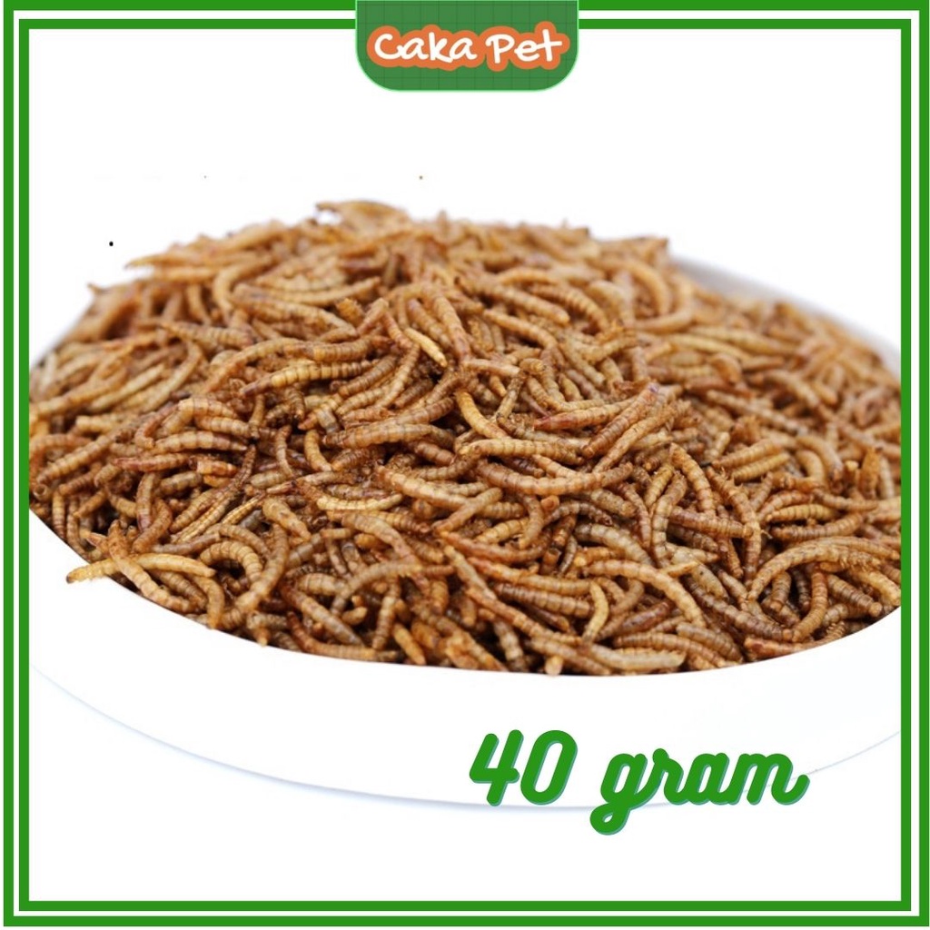 Sâu sấy khô cho hamster 40g  𝑮𝒊𝒖̛̃ 𝒏𝒈𝒖𝒚𝒆̂𝒏 𝒉𝒖̛𝒐̛𝒏𝒈 𝒗𝒊̣ 𝒕𝒖̛̣ 𝒏𝒉𝒊𝒆̂𝒏 Cực phẩm của chim, cá, rùa