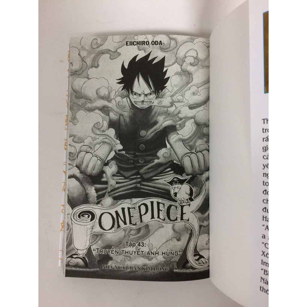 Sách - One piece - Tập 43 (Bìa rời)