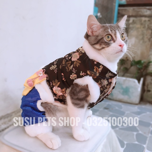 ĐỒ TẾT HANBOK CHO CHÓ MÈO - VÁY TẾT VÀ ÁO LIỀN QUẦN 2021