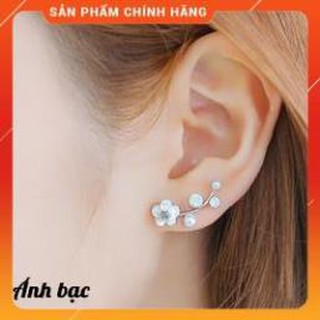 [Bản Mới Nhất] Khuyên tai bông tai hoa mai mùa xuân thời trang phong cách Hàn Quốc E951