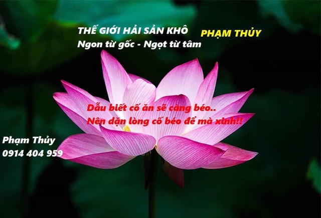 Mực Đồng Tiền Câu Cà Mau 1kg