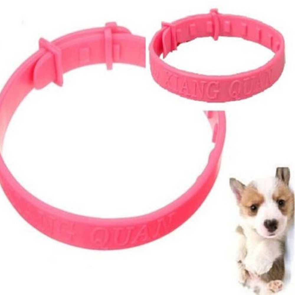 Vòng đeo cổ đuổi rận bảo vệ cho thú cưng tiện lợi