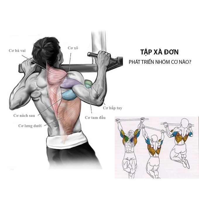Xà đơn treo gắn tường cửa đa năng từ 60-150cm thanh cây tập hít xà tay vai đơn lưng tại nhà không bắt vít