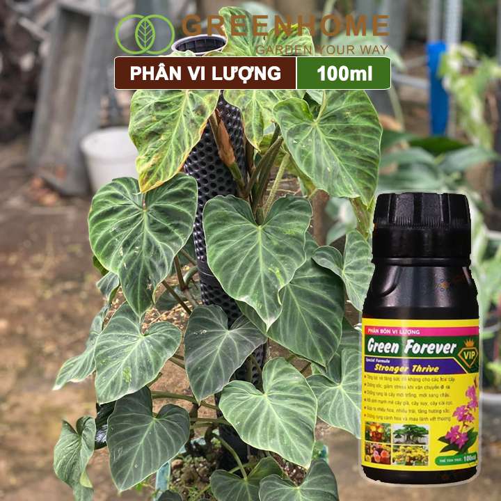 Phân bón vi lượng Green Forever, chai 100ml, cho phong lan, hoa hồng, kiểng lá, cây mới trồng |Greenhome