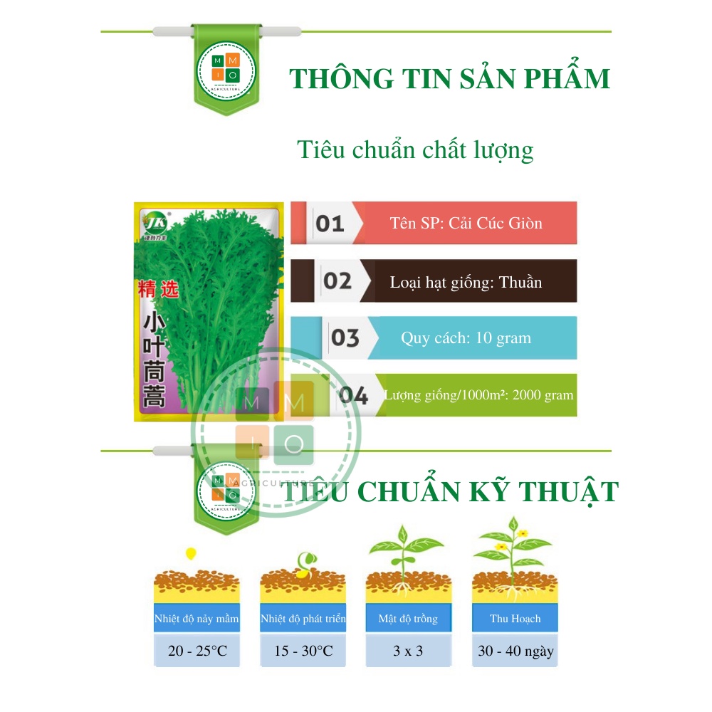 Hạt giống rau cải cúc giòn Đài Loan