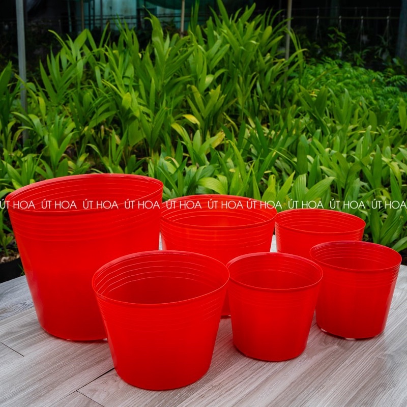 100 chậu C11/ C11A đỏ trồng hoa Tết nhiều cây