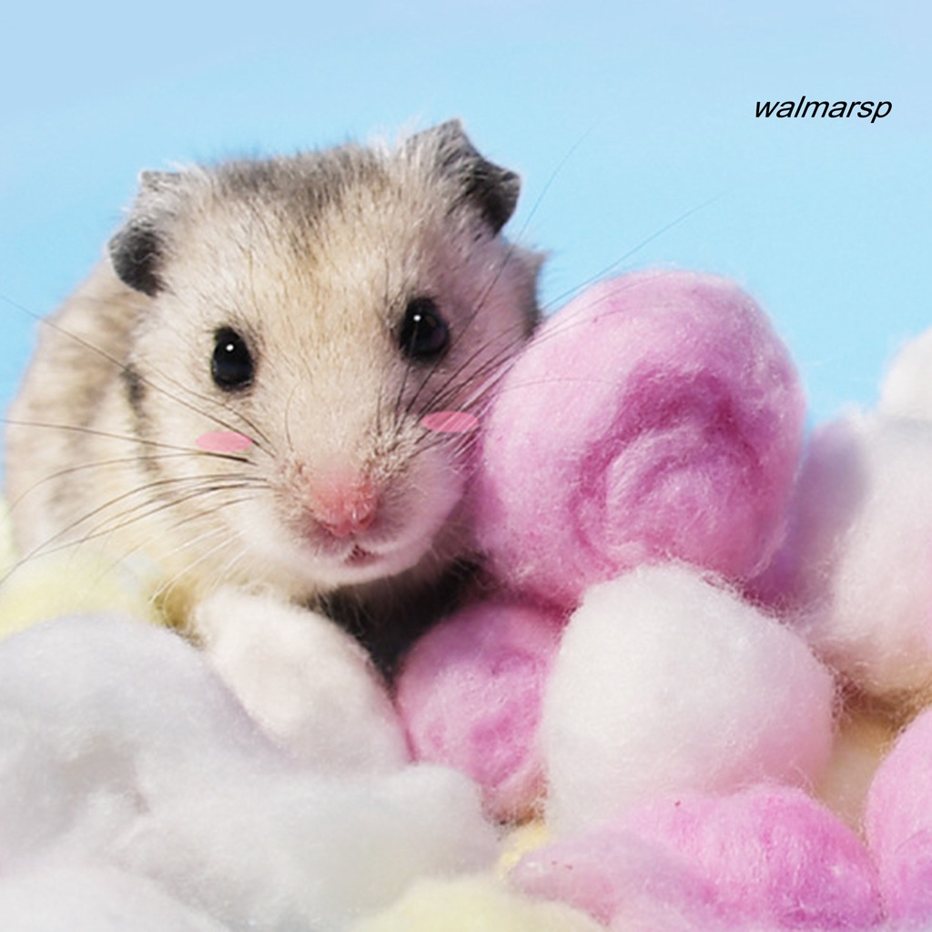 Set 100 Quả Bóng Cotton Mini Nhiều Màu Giữ Ấm Mùa Đông Cho Chuột Hamster