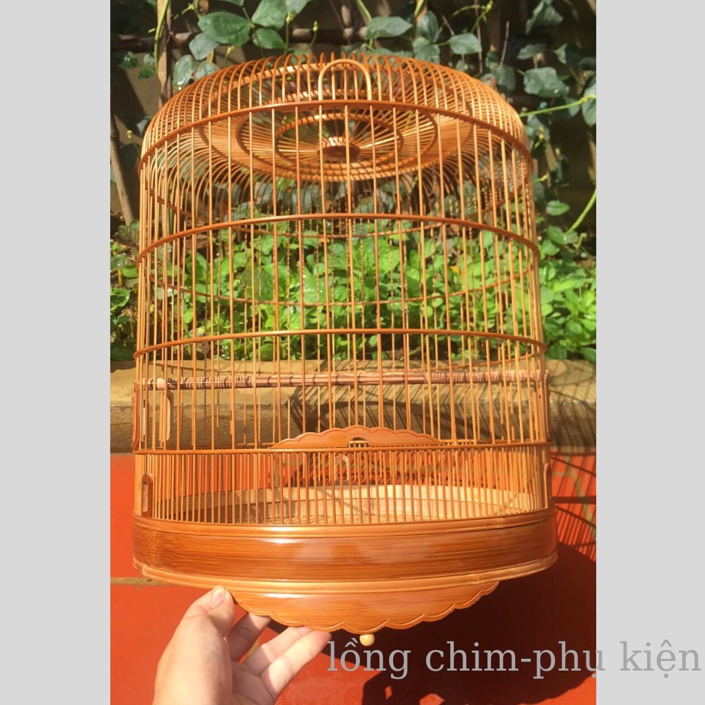 Lồng chim Chòe than Lồng Chim Vác trúc già đẹp kèm phụ kiện