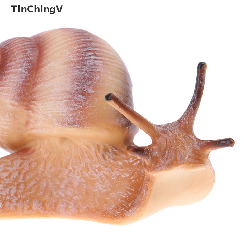 [TinChingV] Đồ trang trí Côn Trùng Động Vật mini Trang Trí Chu Kỳ Mọc Răng