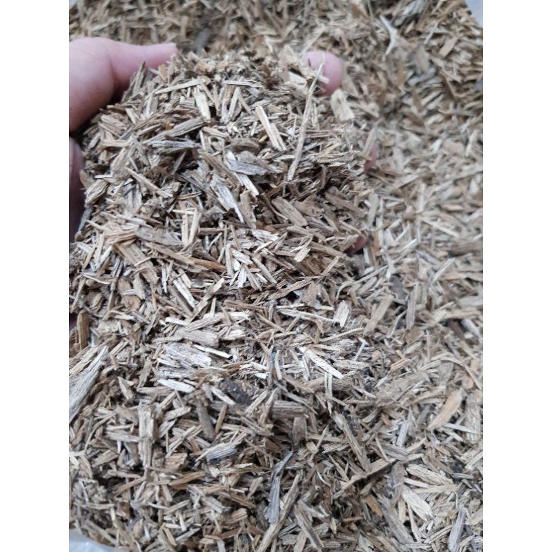 Dăm trầm hương xông nhà, thanh tẩy | BigBuy360 - bigbuy360.vn