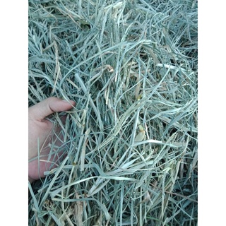 Cỏ mần trầu khô 100gr