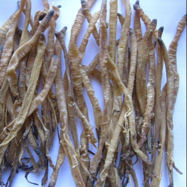 Sá Sùng Khô Nấu Phở Con Lớn 500gr Siêu Ngon Ngọt - Sạch Cát - Size Lớn