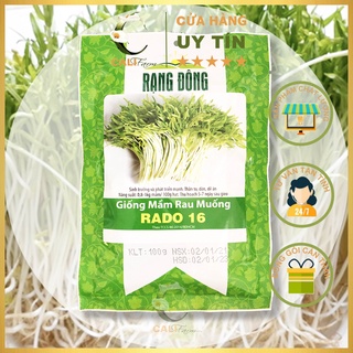 Hạt giống Mầm Rau Muống Dễ Trồng 100gr
