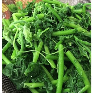 Hạt giống bi ngọn ( bí siêu đọt ) CT06- Gói 5gram