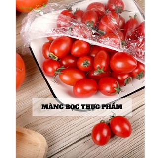 TÚI BỌC THỰC PHẨM SET 100 CÁI