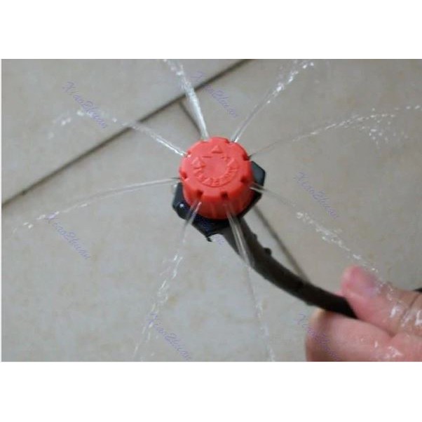 Đầu nhỏ giọt 8 tia