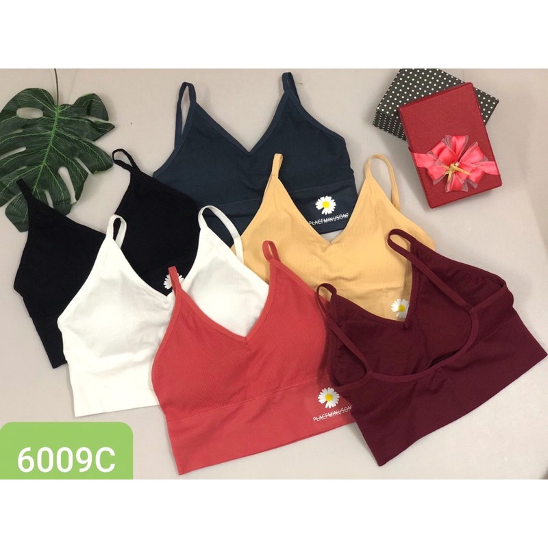 Áo Lót Bra tăm không gọng khoét Lưng Trẻ Trung