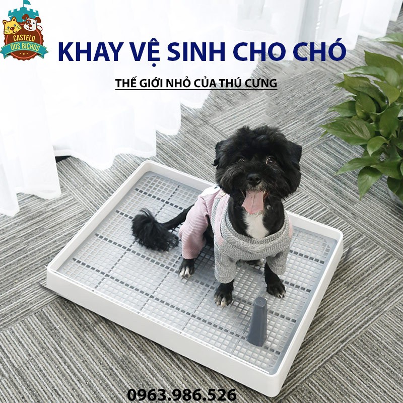 Khay vệ sinh cho chó mèo - Khay hướng dẫn chó mèo đi vệ sinh đúng chỗ