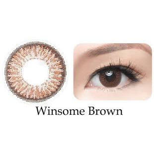 [1 CẶP] Kính áp tròng Freshkon dùng 1 ngày màu Winsome Brown, lens mắt cận màu nâu - Lens Optic