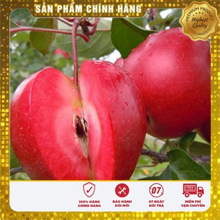 COMBO HẠT GIỐNG SIÊU TIẾT KIỆM LUCKY