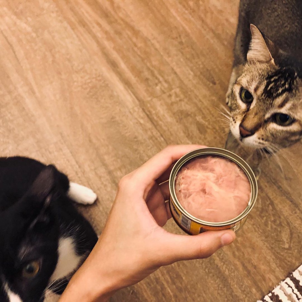 Pate cho mèo Aatas Cat lon 80g Nguyên Chất Từ Cá Ngừ - thức ăn ướt cho mèo con có topping 12 vị thịt cá thơm ngon