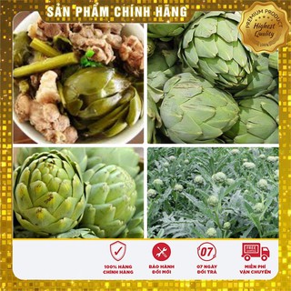 Hạt Giống ATISO Xanh vị thuốc quý