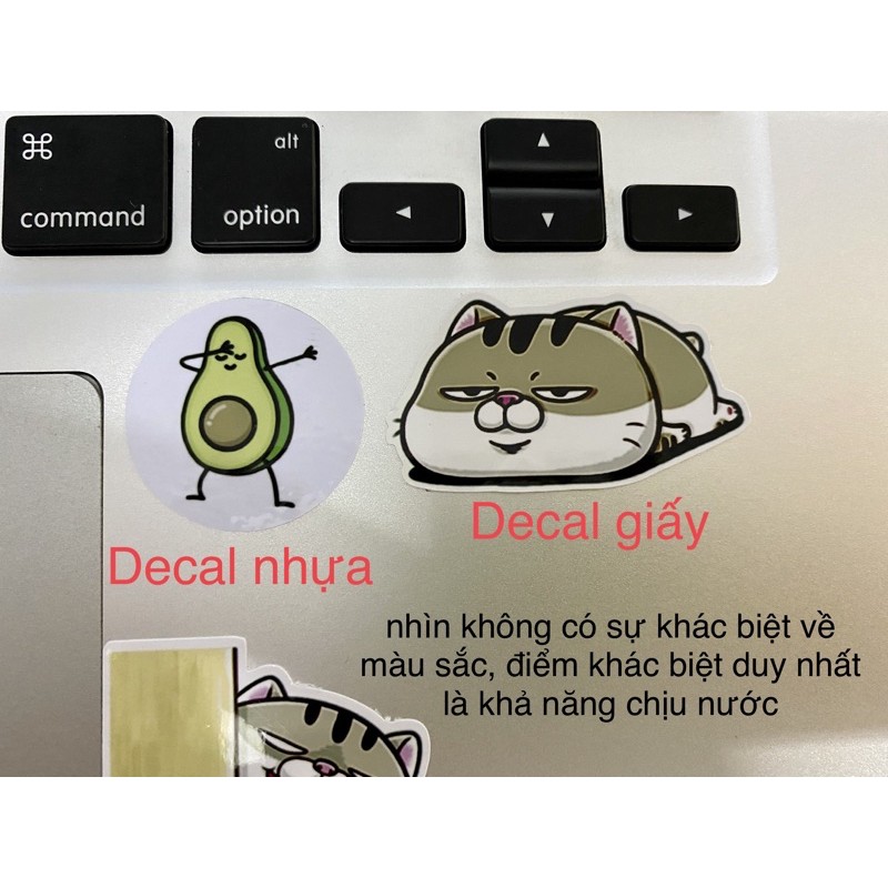 [NOWSHIP] Decal sticker dán chống nước Mèo Ami bụng bự (full) [500đ/con]