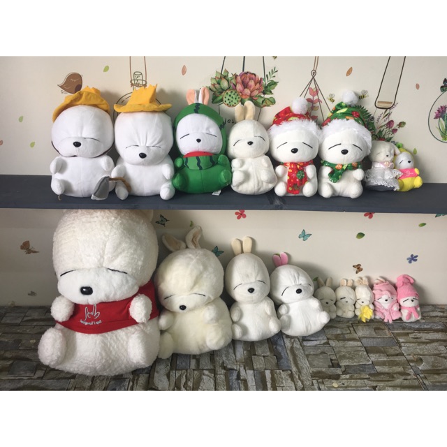 Gấu bông mashimaro mắt hí