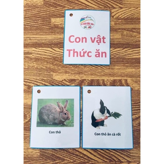 Thẻ Tranh Con Vật-Thức Ăn và Con Vật-Nơi ở