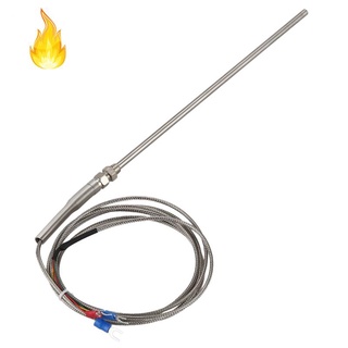 Cảm biến nhiệt độ 2m pt100 200 mm x 5 mm