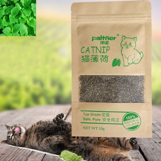 Bạc Hà Mèo Hữu Cơ 10g