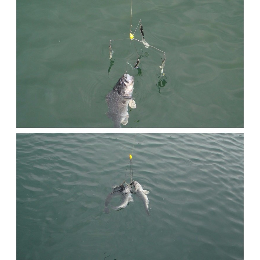 Mới Set 3 Mồi Câu Cá Nhân Tạo Chuyên Dụng