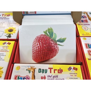 Bộ thẻ học thông minh loại TO A5 15x 21cm dạy bé học chữ cái, flash card tiếng Anh, dạy nhận biết về Thế giới xung quanh